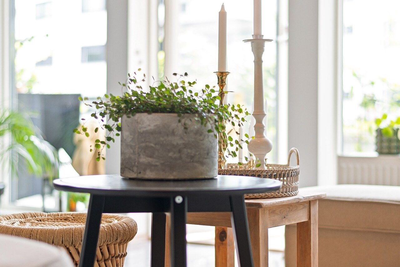 Eine kahle Stelle im Raum mit Leben gefüllt